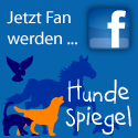 Jetzt Fan werden bei Facebook - hundespiegel.de